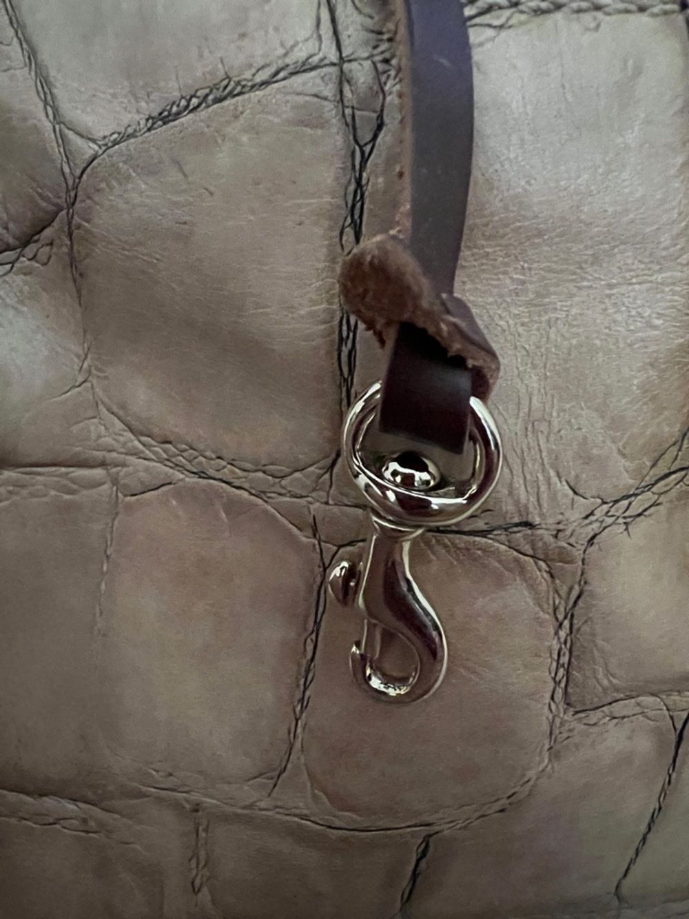 Dooney & Bourke Taupe Croc-Embossed Shoulder Bag with Dark Brown Strap - Picture 4 of 6